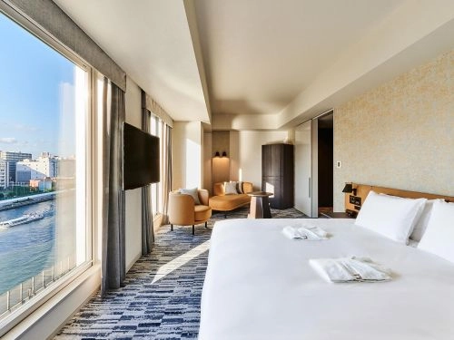 THE GATE HOTEL RYOGOKU by HULIC room