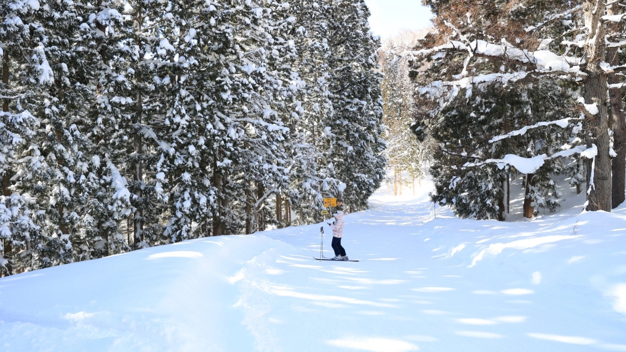 
Nozawa Onsen Snow Resort
