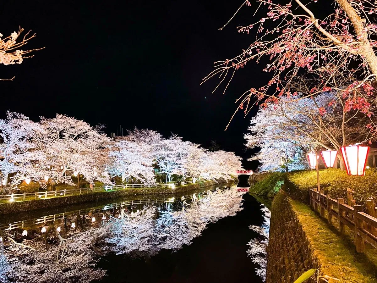 kano-castle-ruins-park