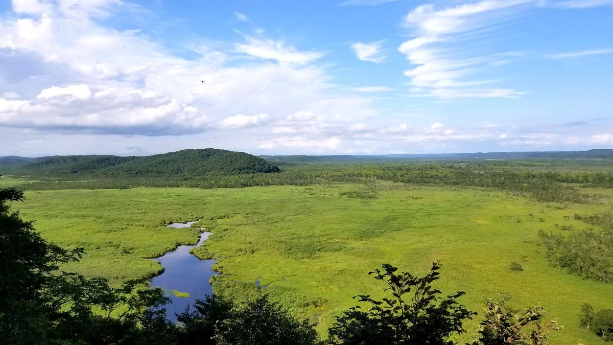 Kushiro Wetlands
