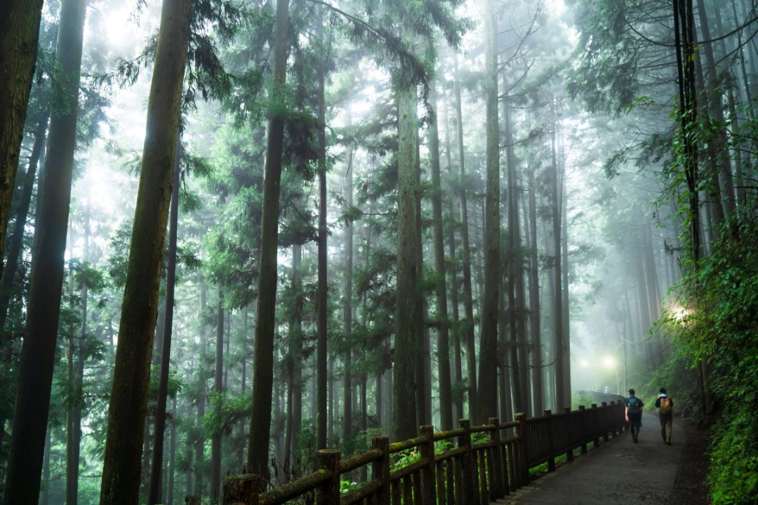 
Mount Mitake
