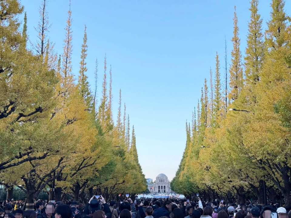meiji-shrine