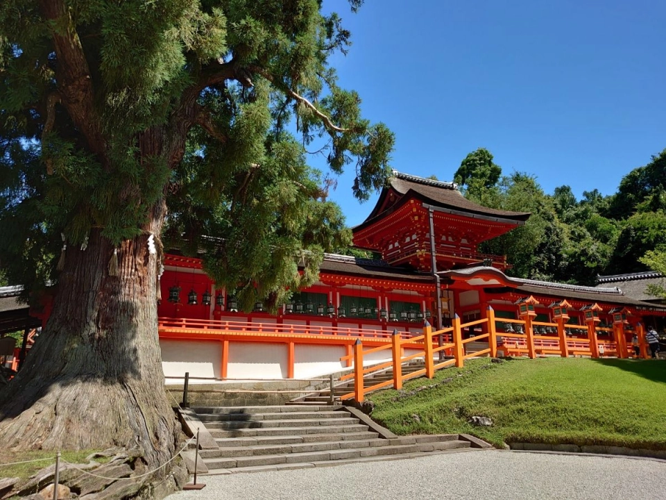 
Kasuga Taisha
