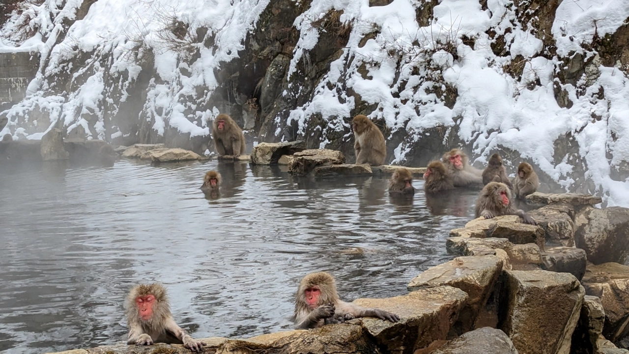 "Yukimi Rotenburo": Japan's Best Snow View Onsen & Outdoor Hot Springs Guide
