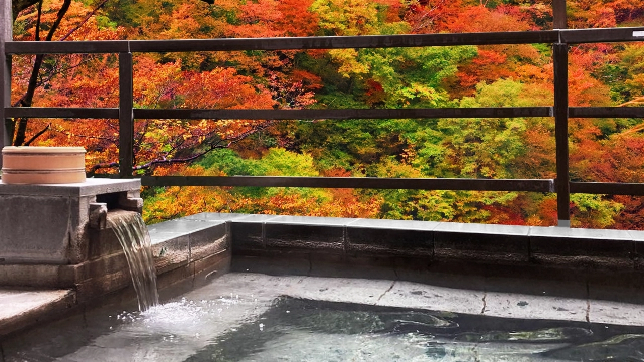 Hot springs in the mountains and valleys image2