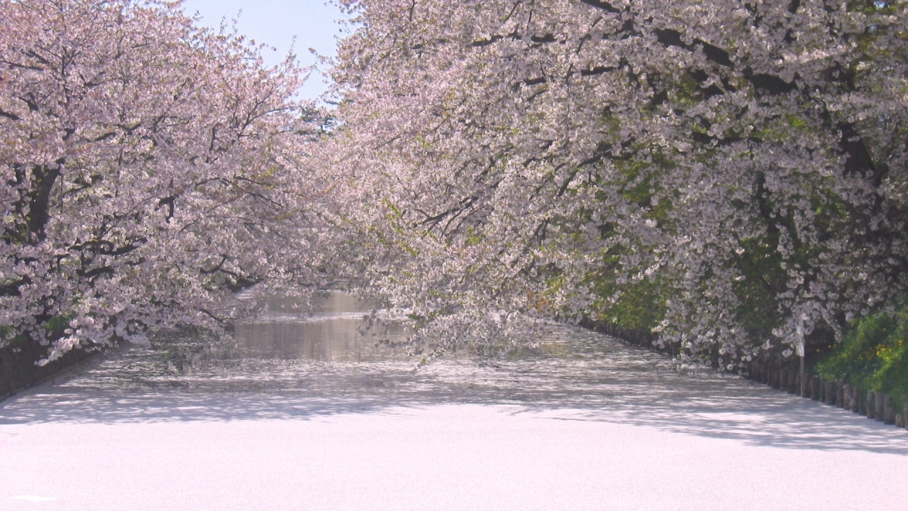 
Hirosaki Park Flower Raft
