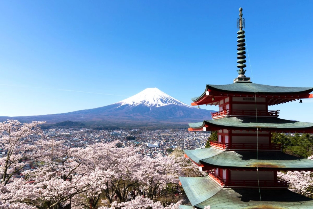 Arakurayama Sengen Park (Yamanashi Prefecture)