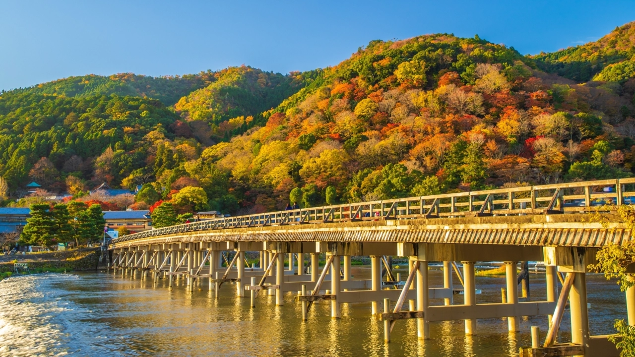 
Arashiyama Autumn leaves
