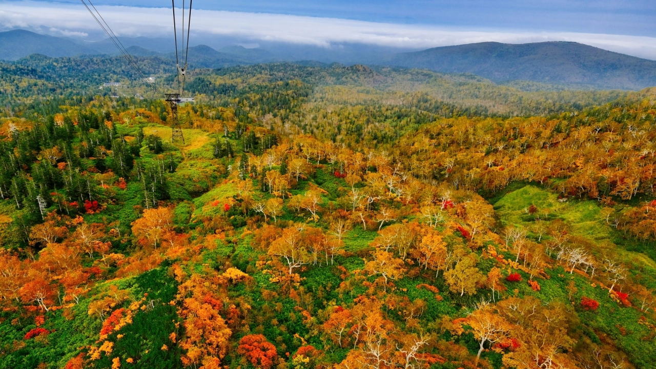 
Mt. Asahi Autumn leaves

