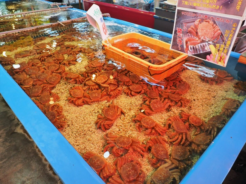 
Sapporo Central Wholesale Market
