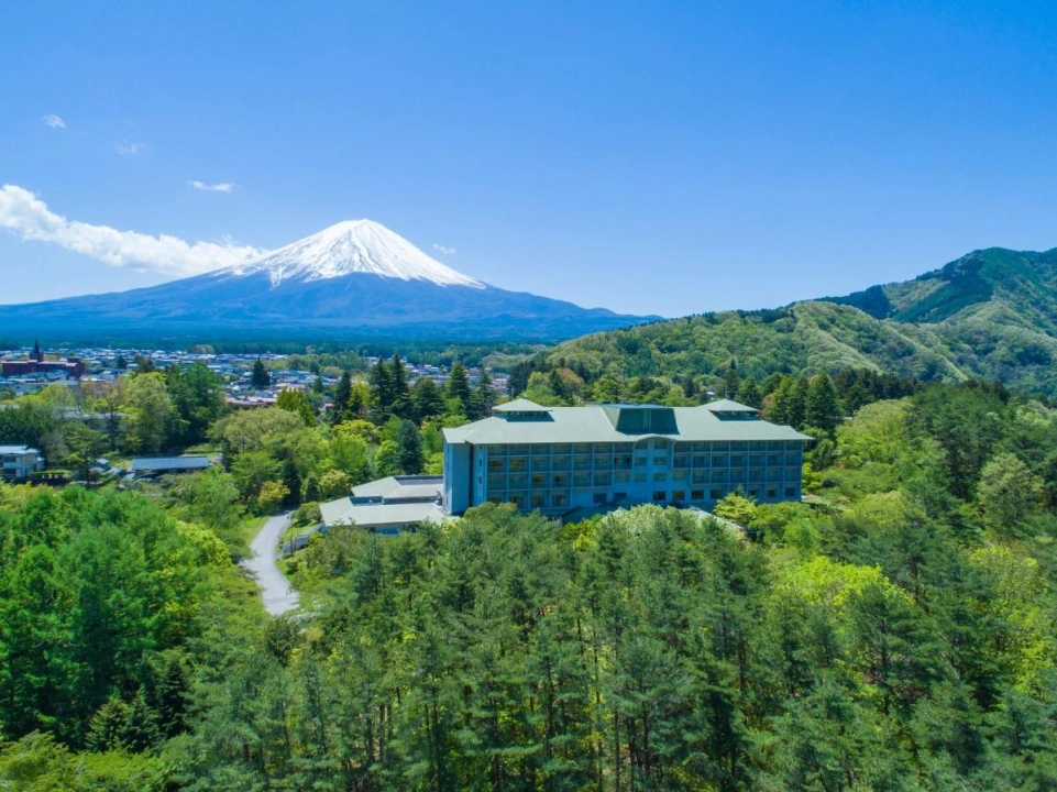Fuji View Hotel view