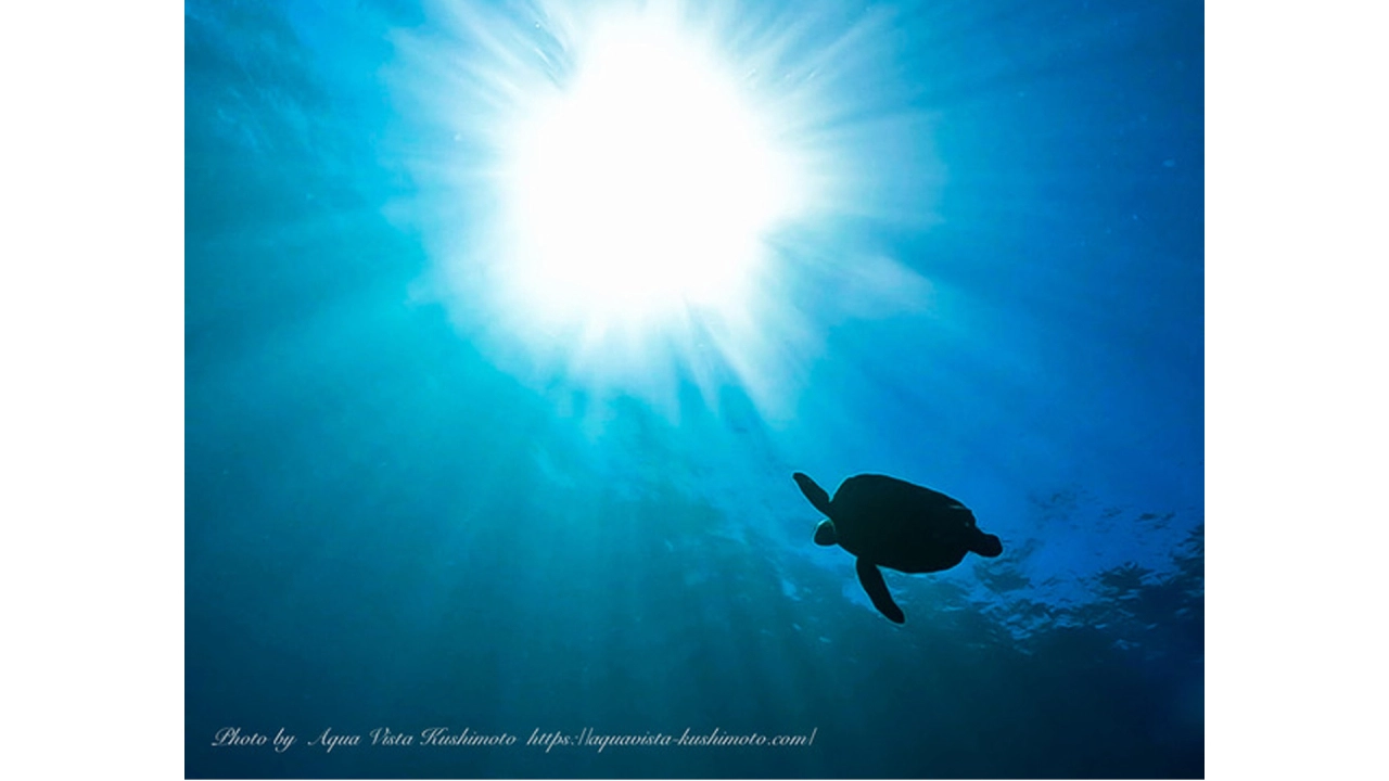 Aqua Vista Kushimoto