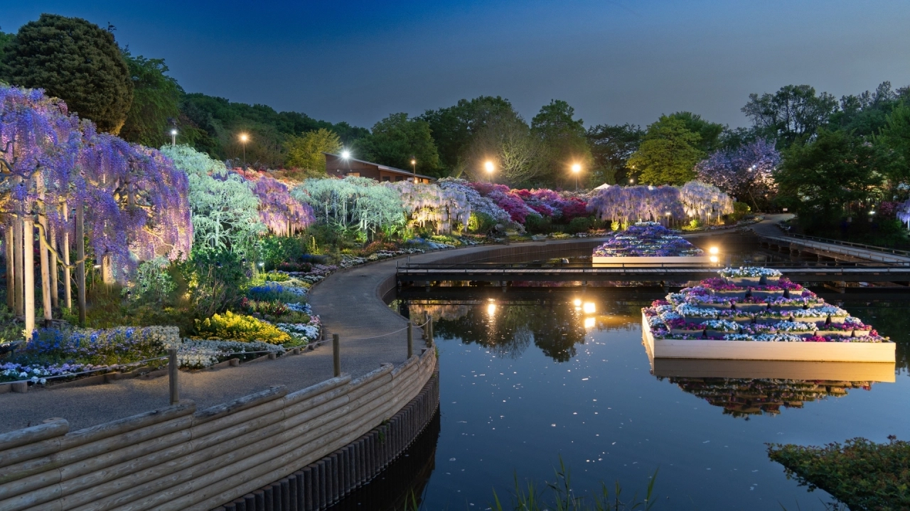 
Ashikaga Flower Park view
