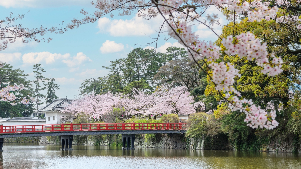 Odawara Castle Park