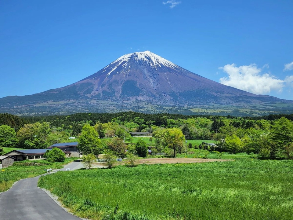 Asagiri Kogen (Shizuoka Prefecture)
