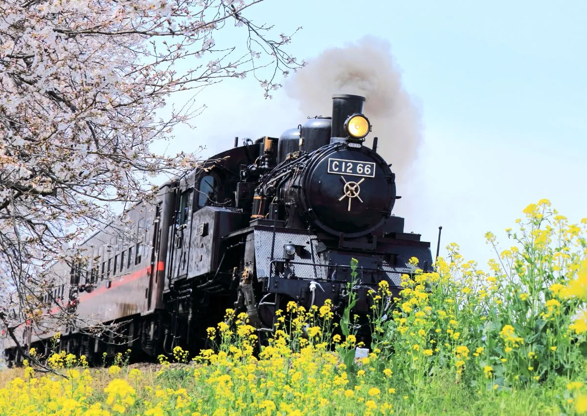 moka railway