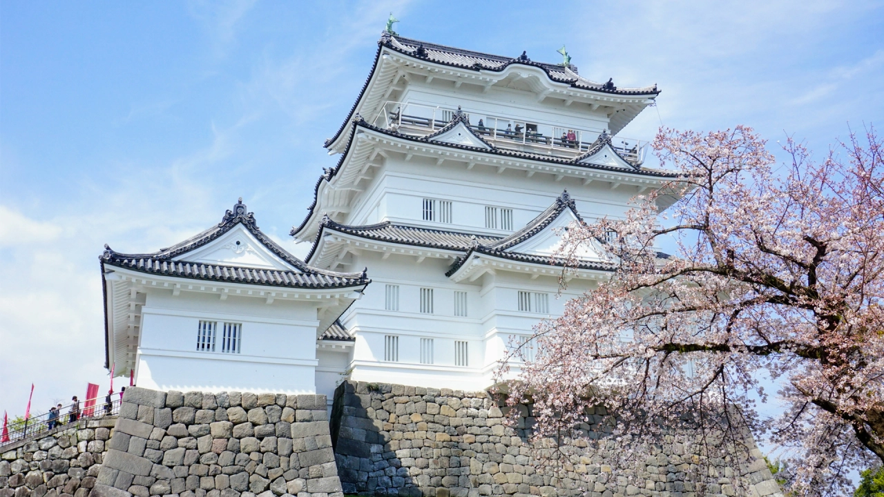 Odawara Castle Park