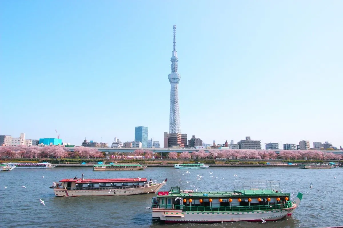 sumidagawa