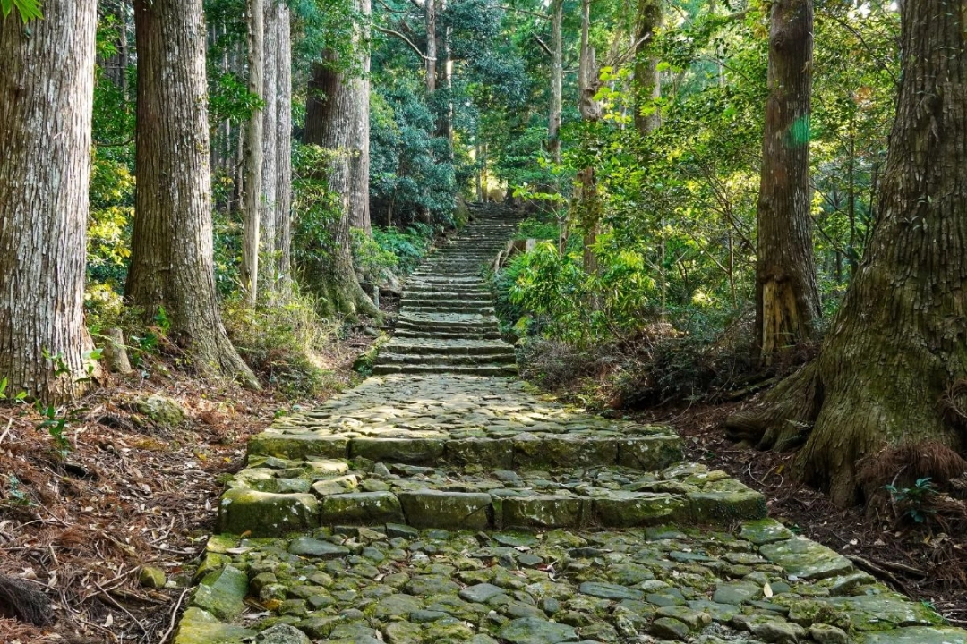 
Kumano Kodo
