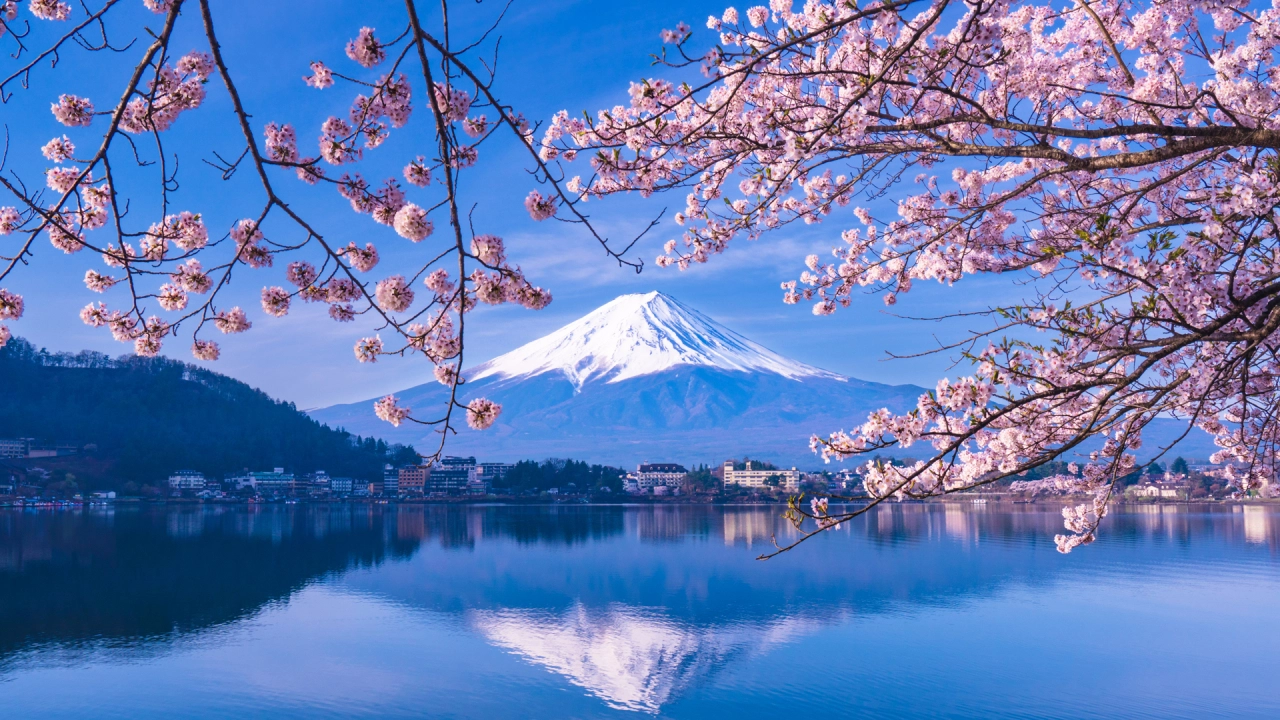 Day Trips to Spectacular Cherry Blossom Spots from Tokyo | Your Ultimate Spring Guide
