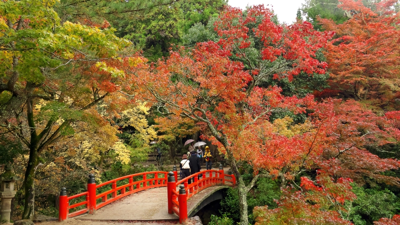 
Miyajima Momijidani Park
