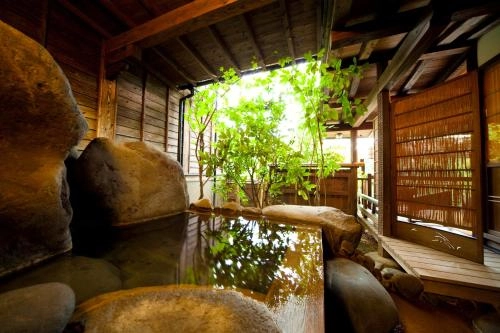 Hatago Kayausagi open air bath