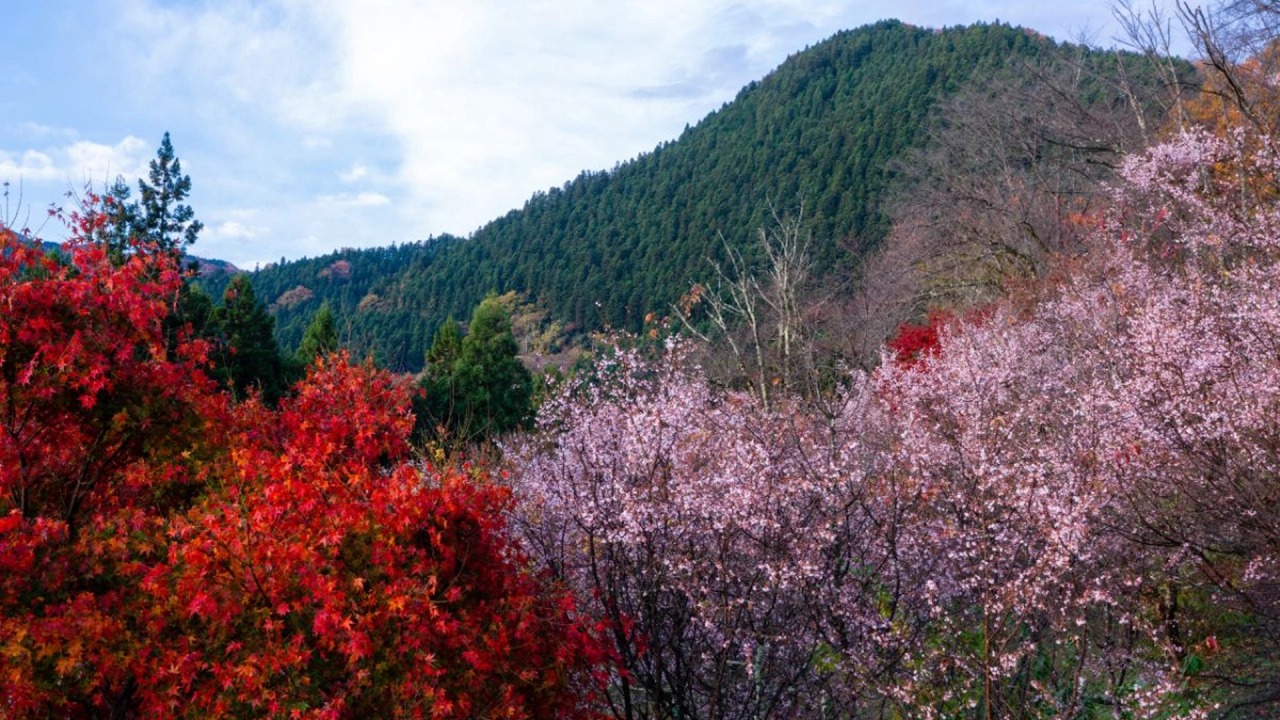 Jomine Park (Kamikawa Town, Saitama Prefecture)