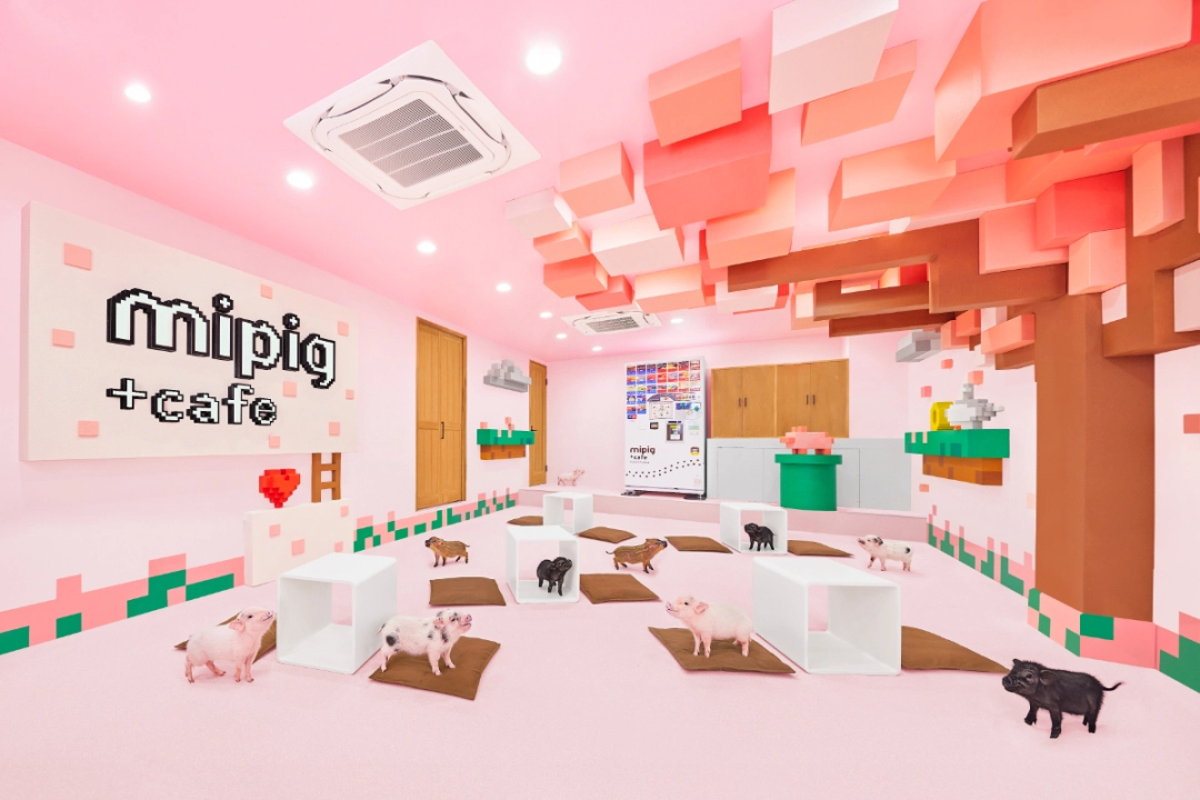 mipigcafe Takeshita