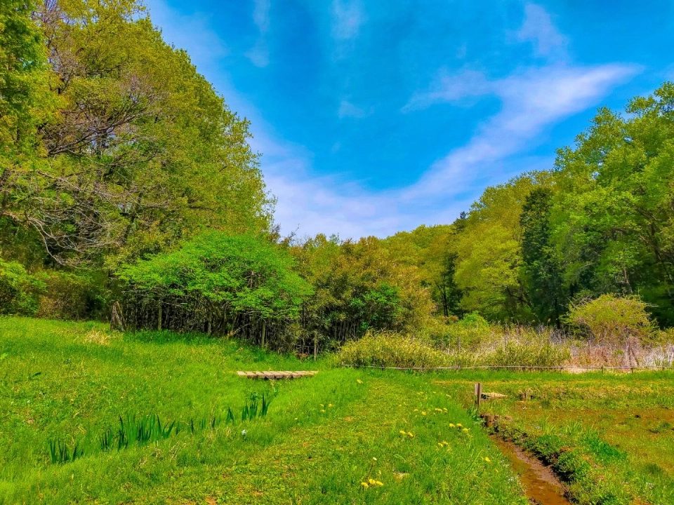 
Sayama Hills
