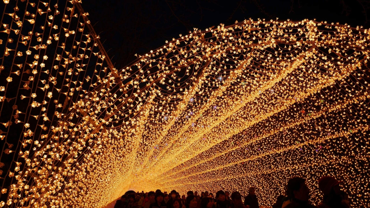 
Nabana no Sato illumination
