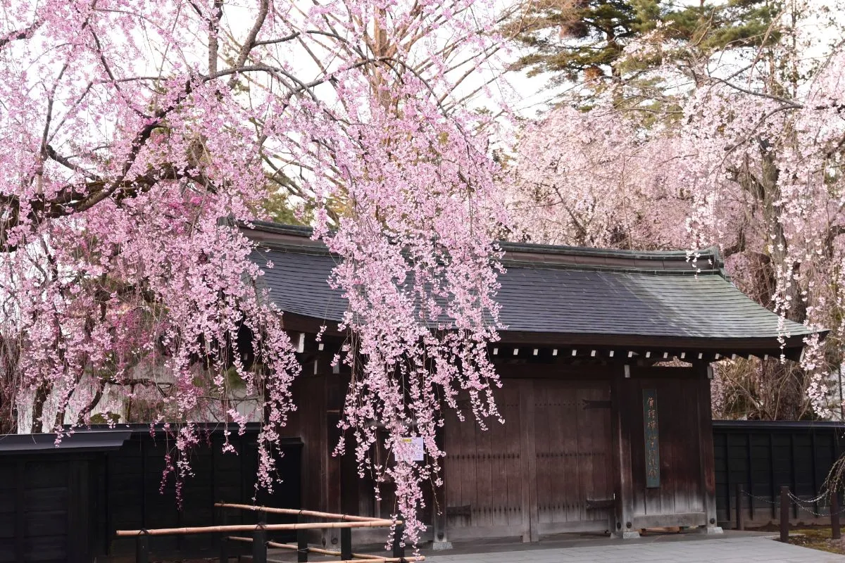 kakunodate