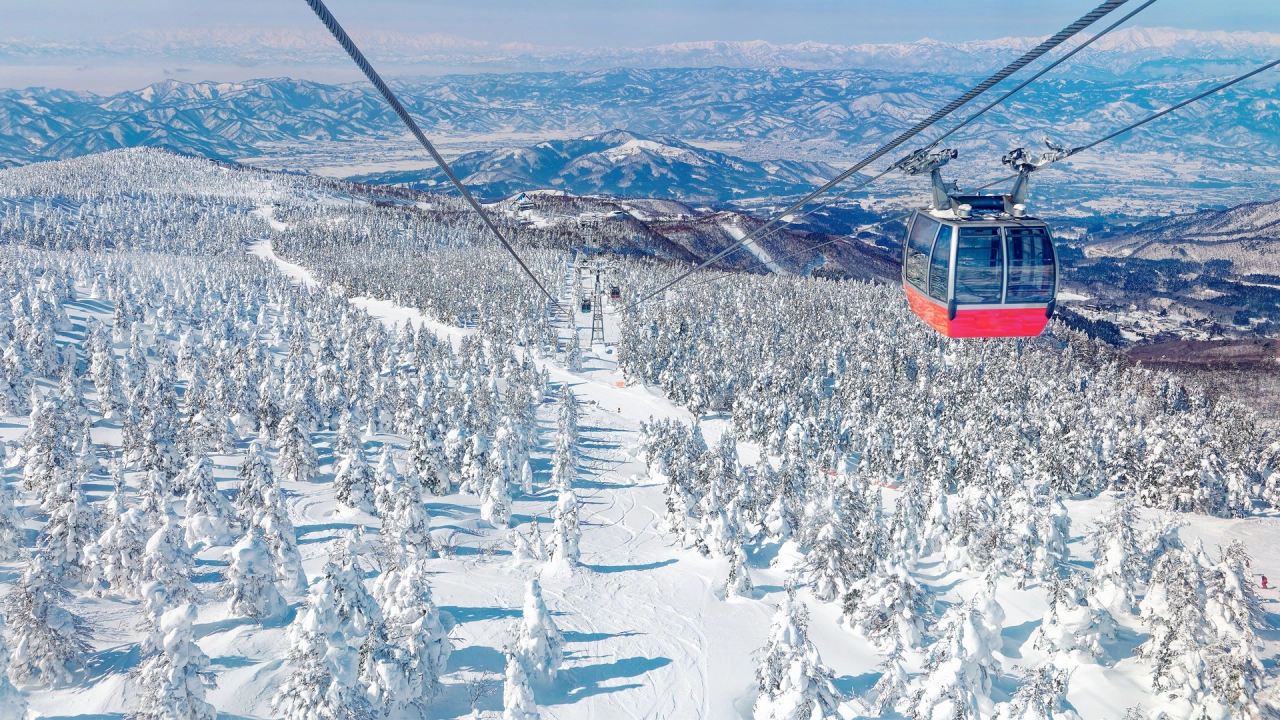 Zao's Snow Monsters (Yamagata Prefecture / Miyagi Prefecture)