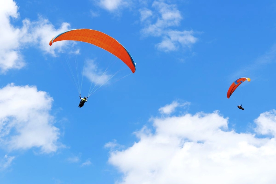 
paraglider
