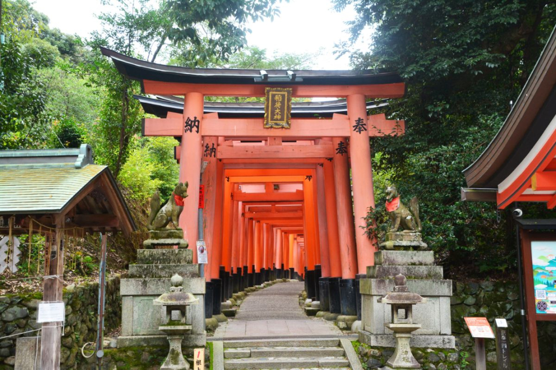 fushimi-inari-shrine