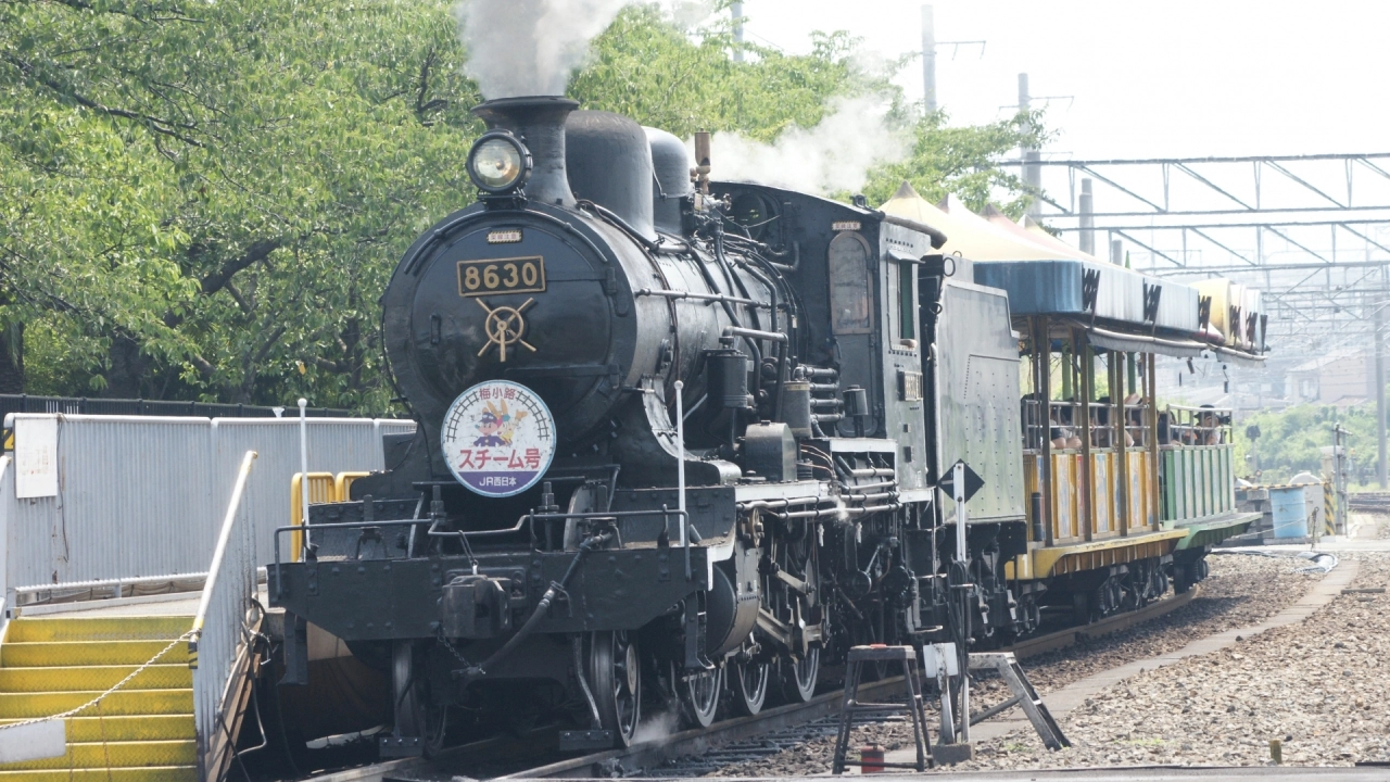 Step into the World of Demon Slayer: A Pilgrimage to Feel the Story's Soul