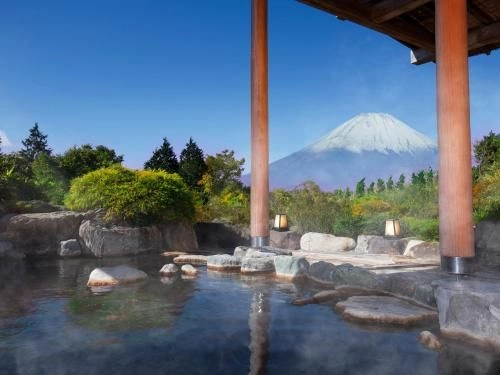 Hotel Green Plaza Hakone open air bath