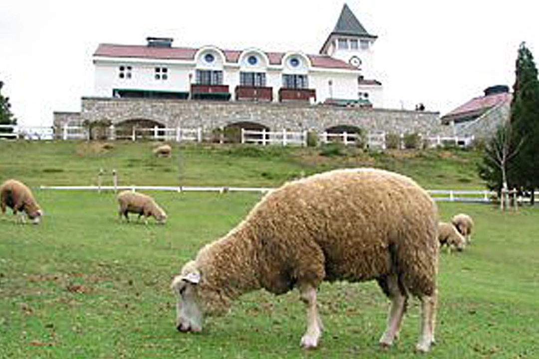 Rokkosan Ranch