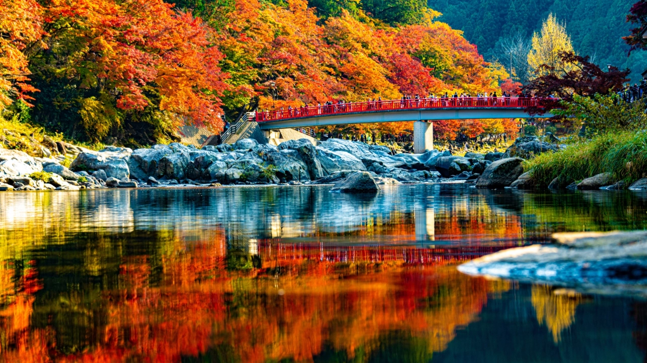 Fall in Japan: 7 Spectacular Autumn Leaves Spots