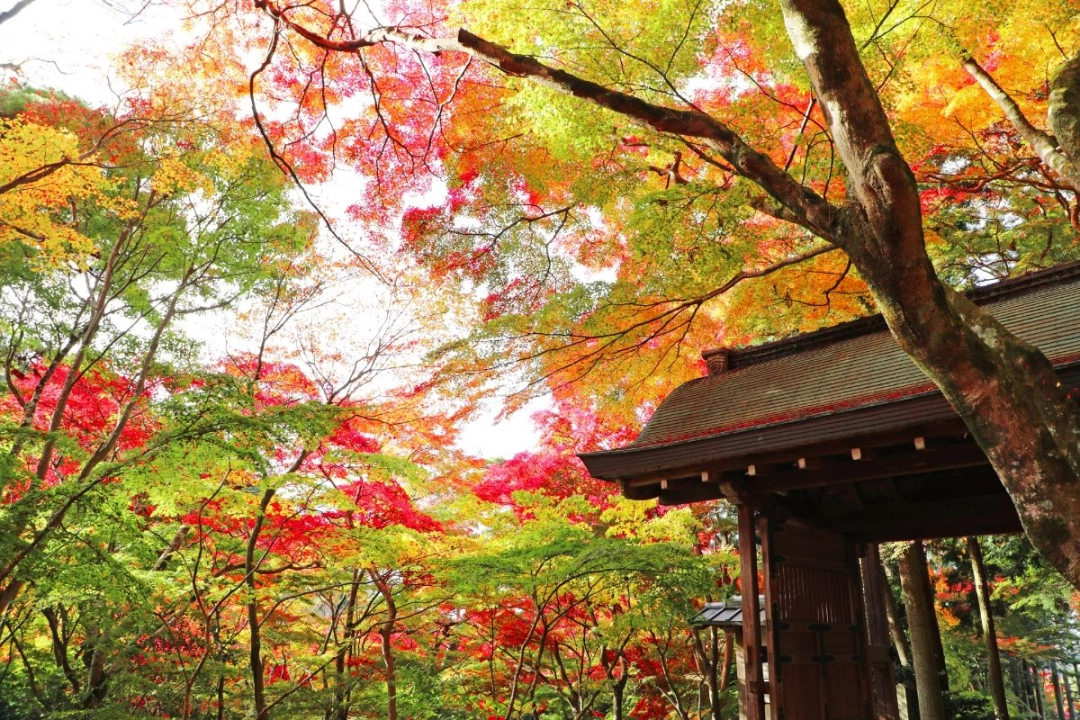 Zuihoji Park
