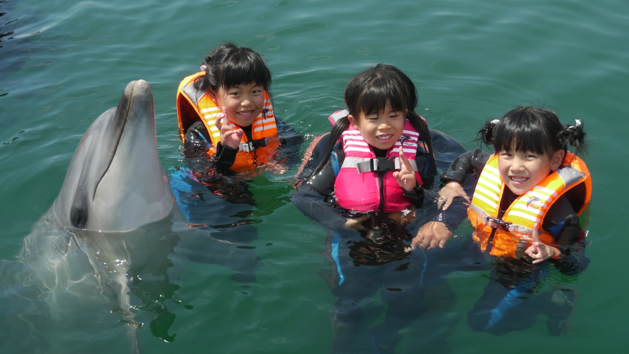 JAPAN DOLPHIN CENTER