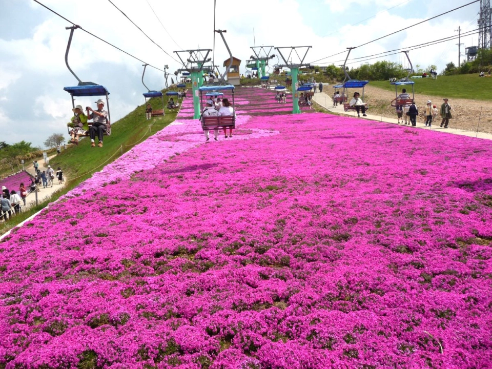Mt. Chausu Highland