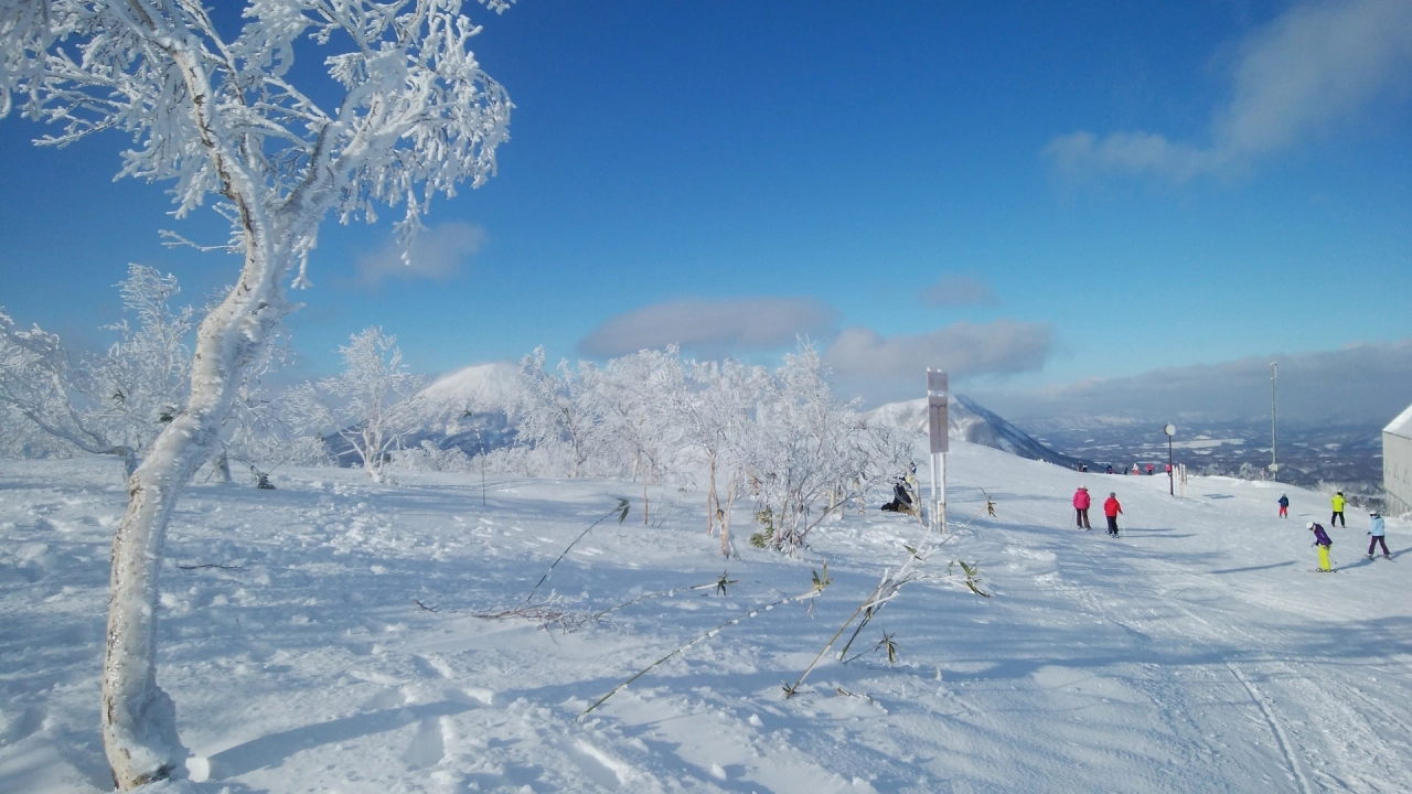 
Rusutsu Resort in winter
