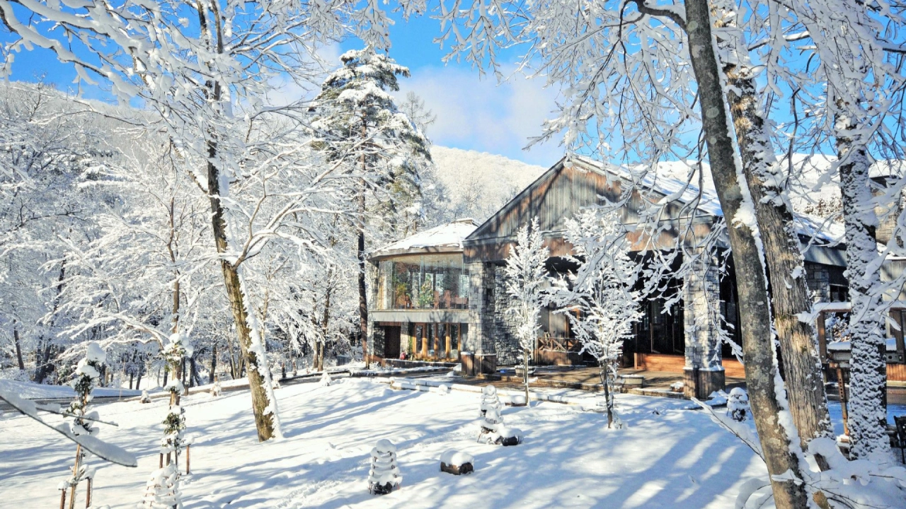 Sierra Resort Hakuba Exterior