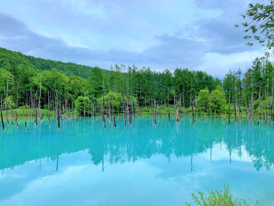 Furano & Biei (Hokkaido)