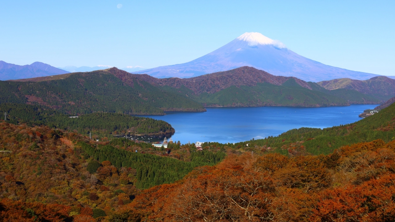 
Autumn leaves at Lake Ashi
