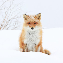 北海道｜口コミで人気のホテル・旅館！