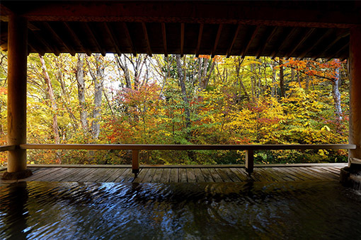 作並温泉｜口コミで人気のホテル・旅館！