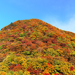 那須・板室|口コミで人気のホテル・旅館!