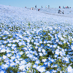 大洗・ひたちなか｜口コミで人気のホテル・旅館！