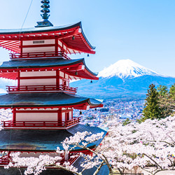 河口湖・西湖・富士吉田・精進湖・本栖湖|口コミで人気のホテル・旅館!